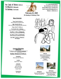 7th Sunday in Ordinary Time